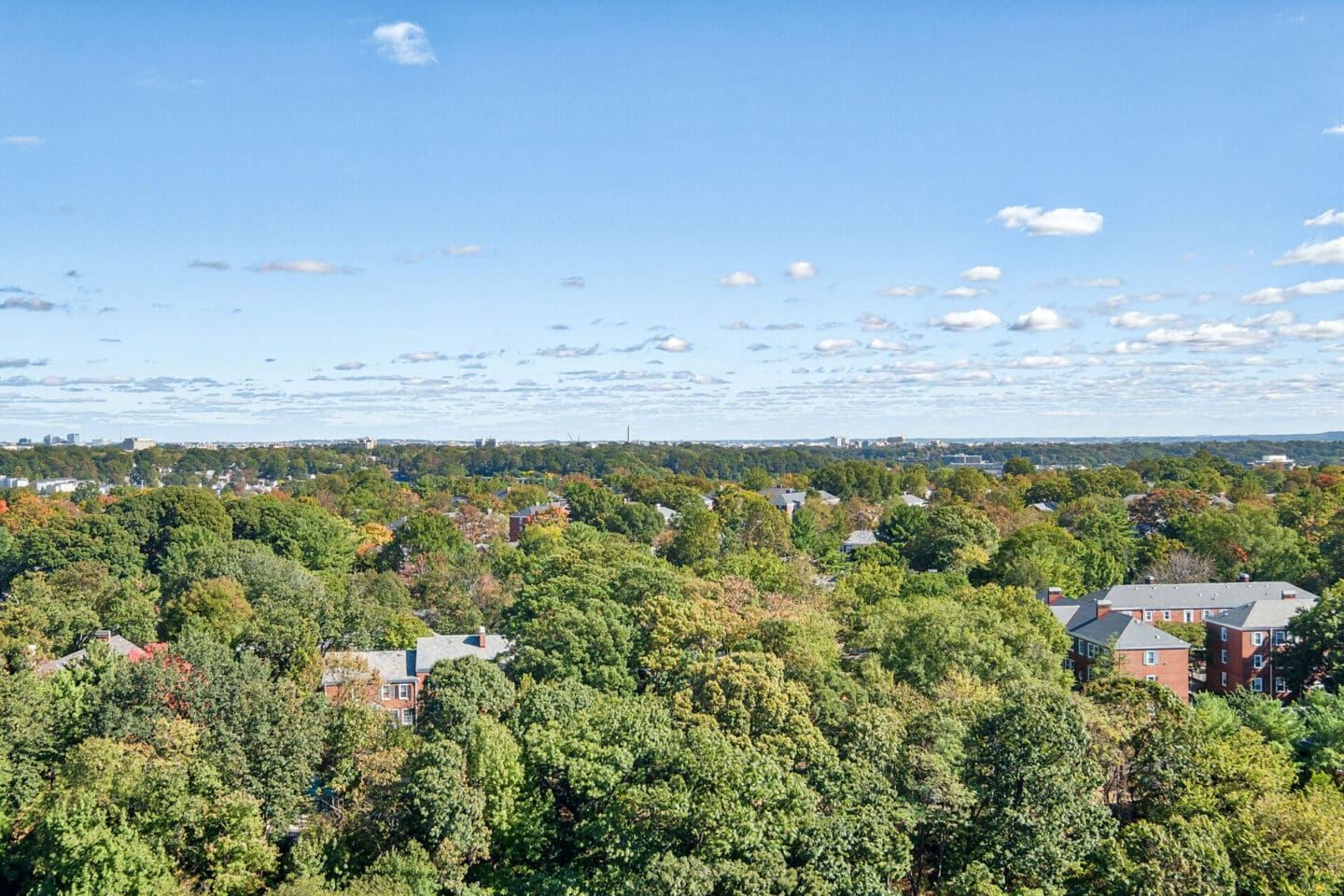 Panoramic View Of City at Halstead Tower by Windsor, 4380 King Street, Alexandria