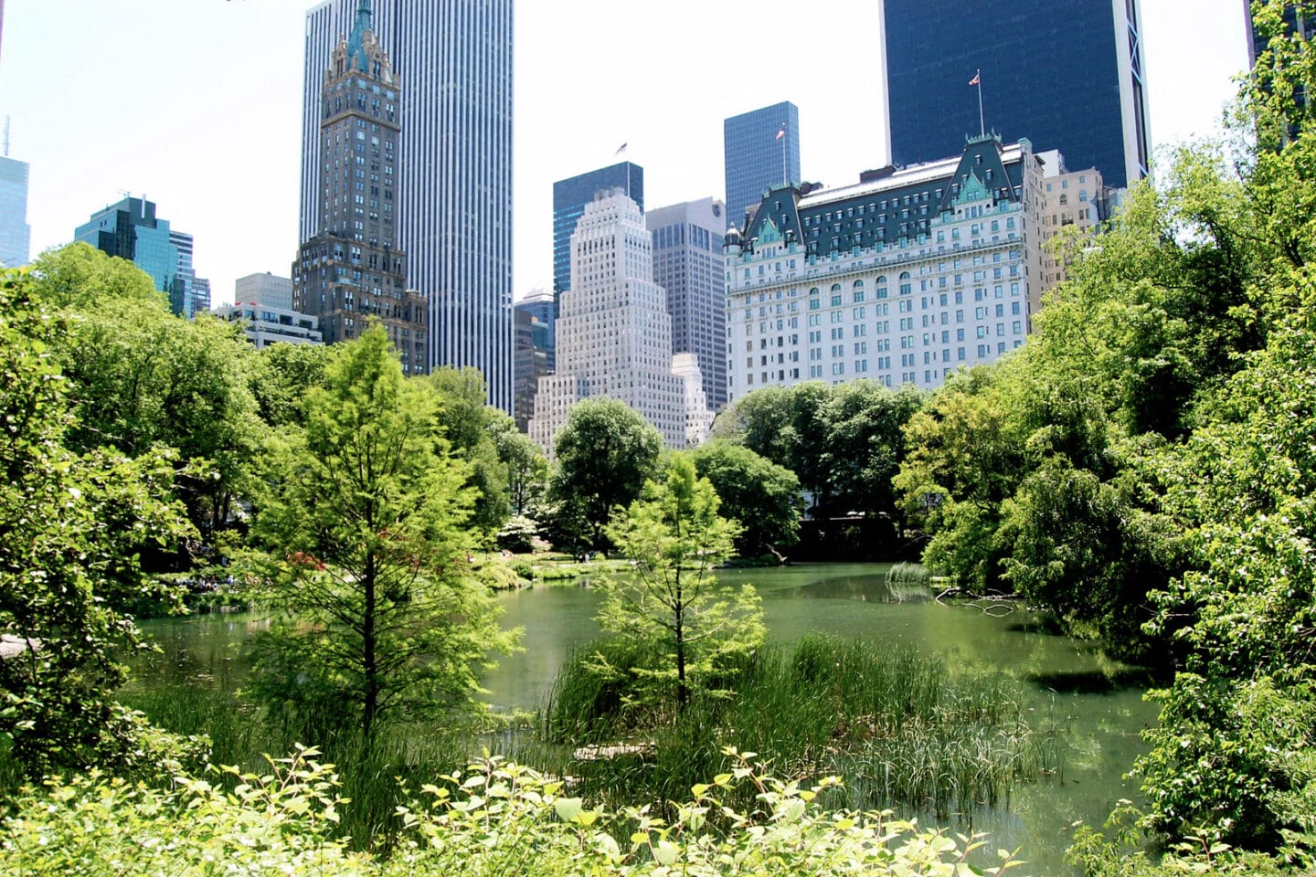 Central Park near The Ashley Upper West Side Apartments in NYC