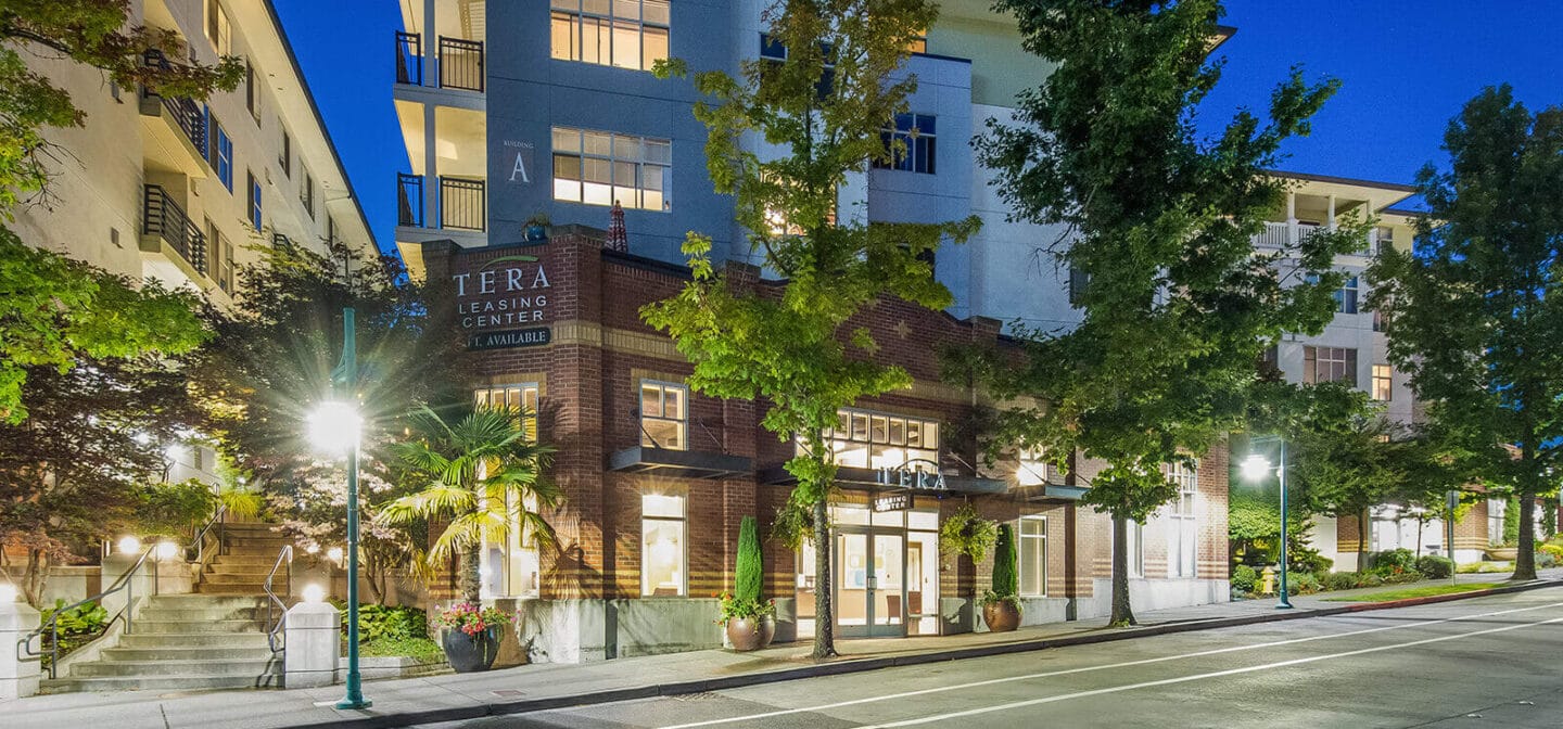 The building shines brightly at night, framed by trees and decorative lights, enhancing the enchanting evening scene.