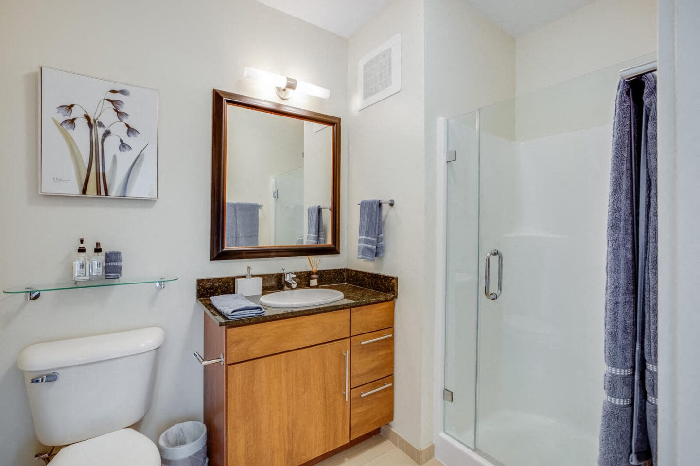 Glass-Enclosed, Stand-Up Shower at Flair Tower, Chicago, Illinois