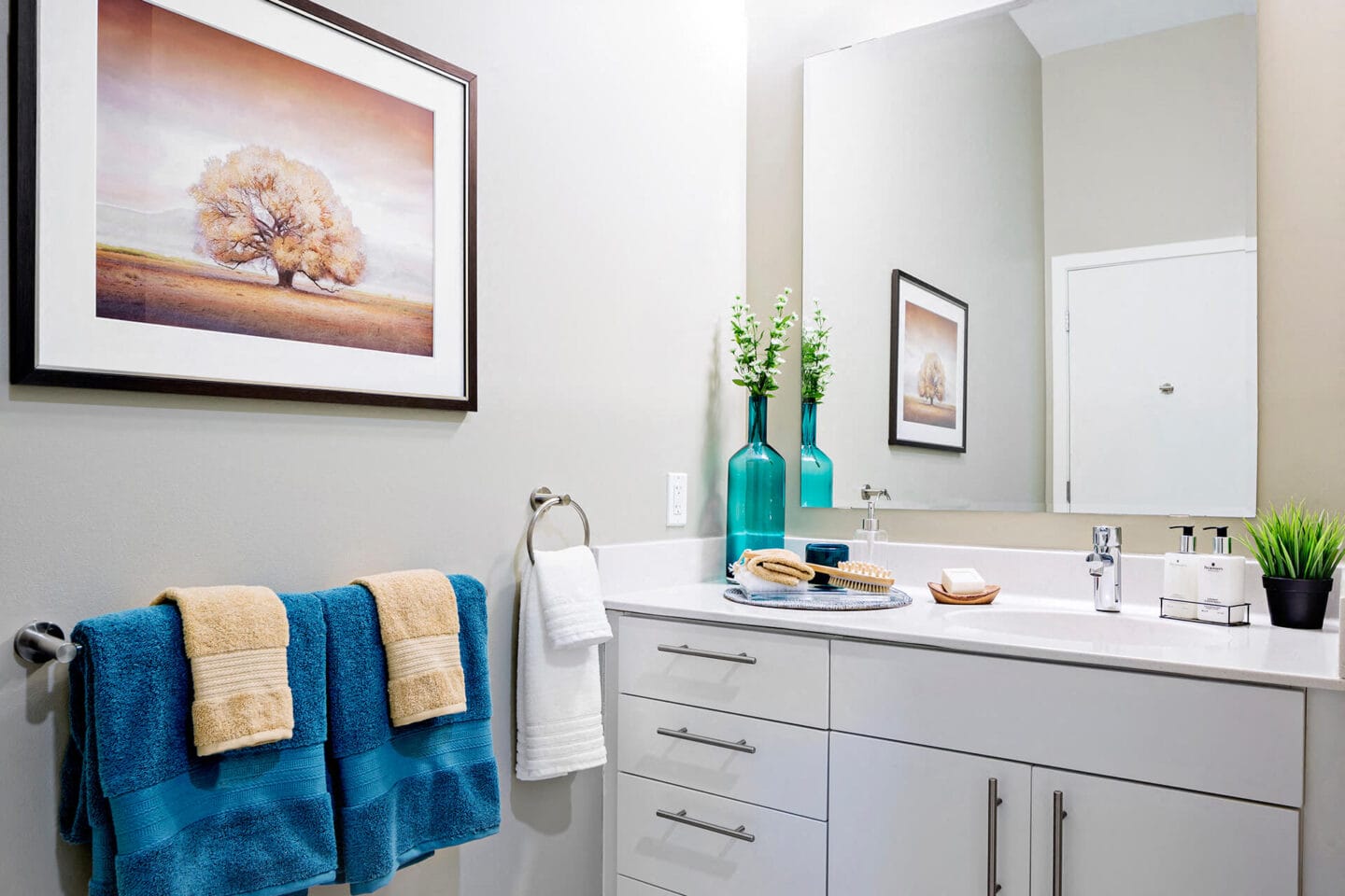 Storage Space in Bathrooms at Waterside Place by Windsor, Boston, Massachusetts