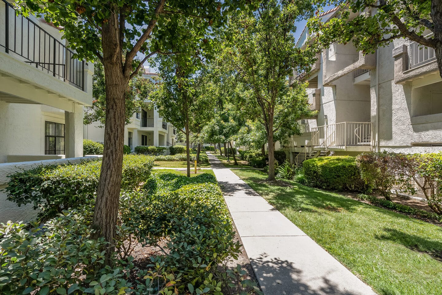 Lots of Green Space at Mission Pointe by Windsor, Sunnyvale, California