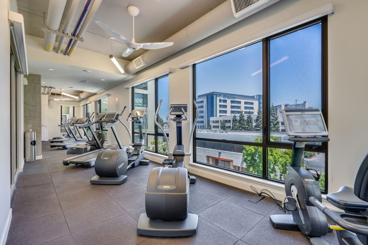 Run with a View at The Marston by Windsor, Redwood City, 94063