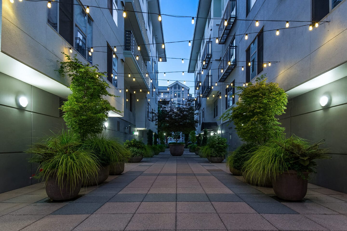 Stunning courtyards at Tera Apartments, Washington, 98033