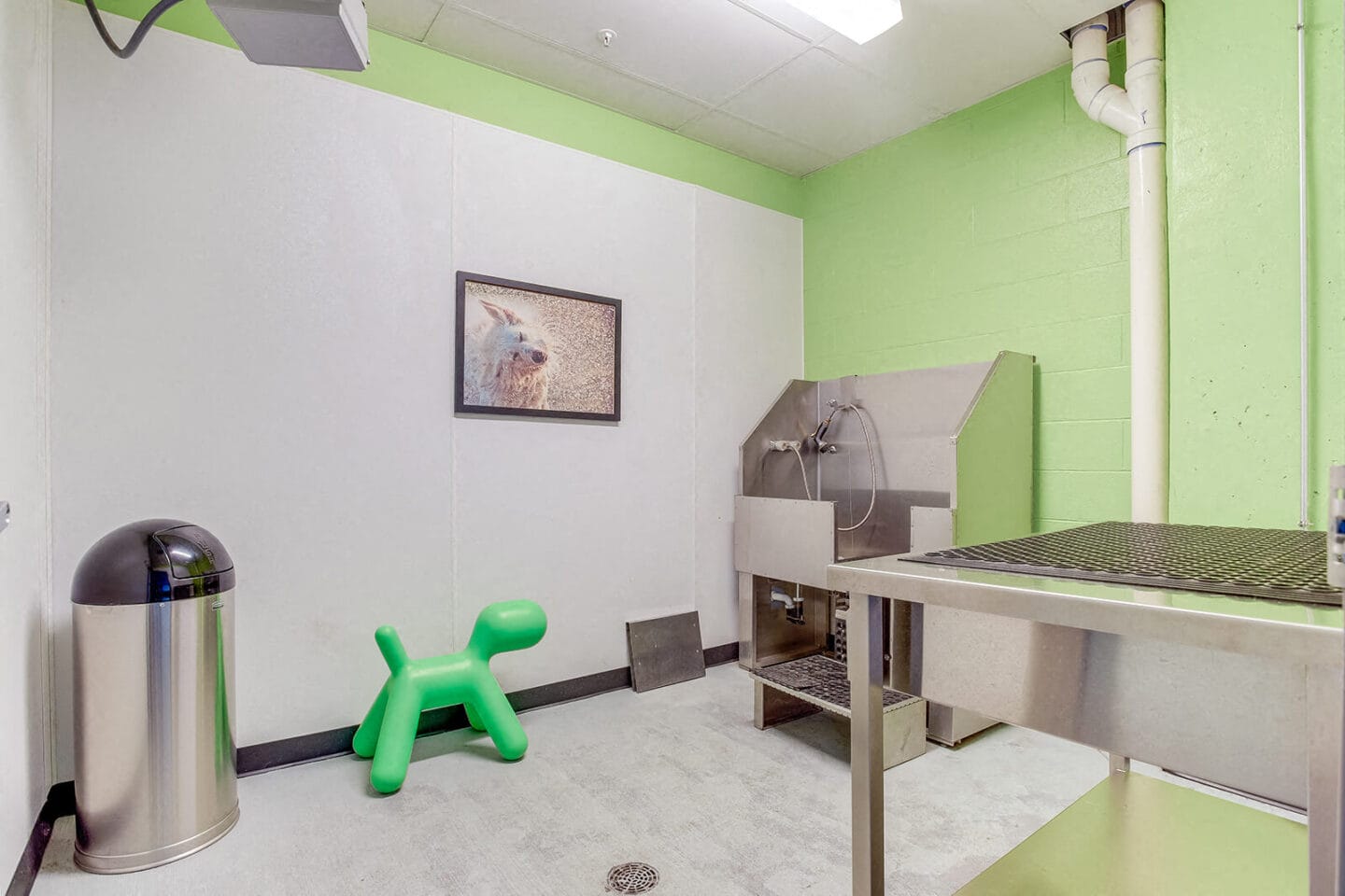 On-Site Pet Spa at Element 47 by Windsor, 80211, CO