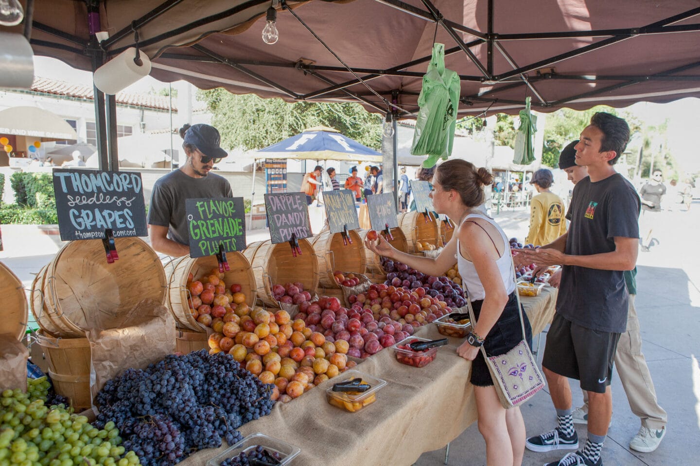 Close By Farmer's Market at Malden Station by Windsor, Fullerton, California