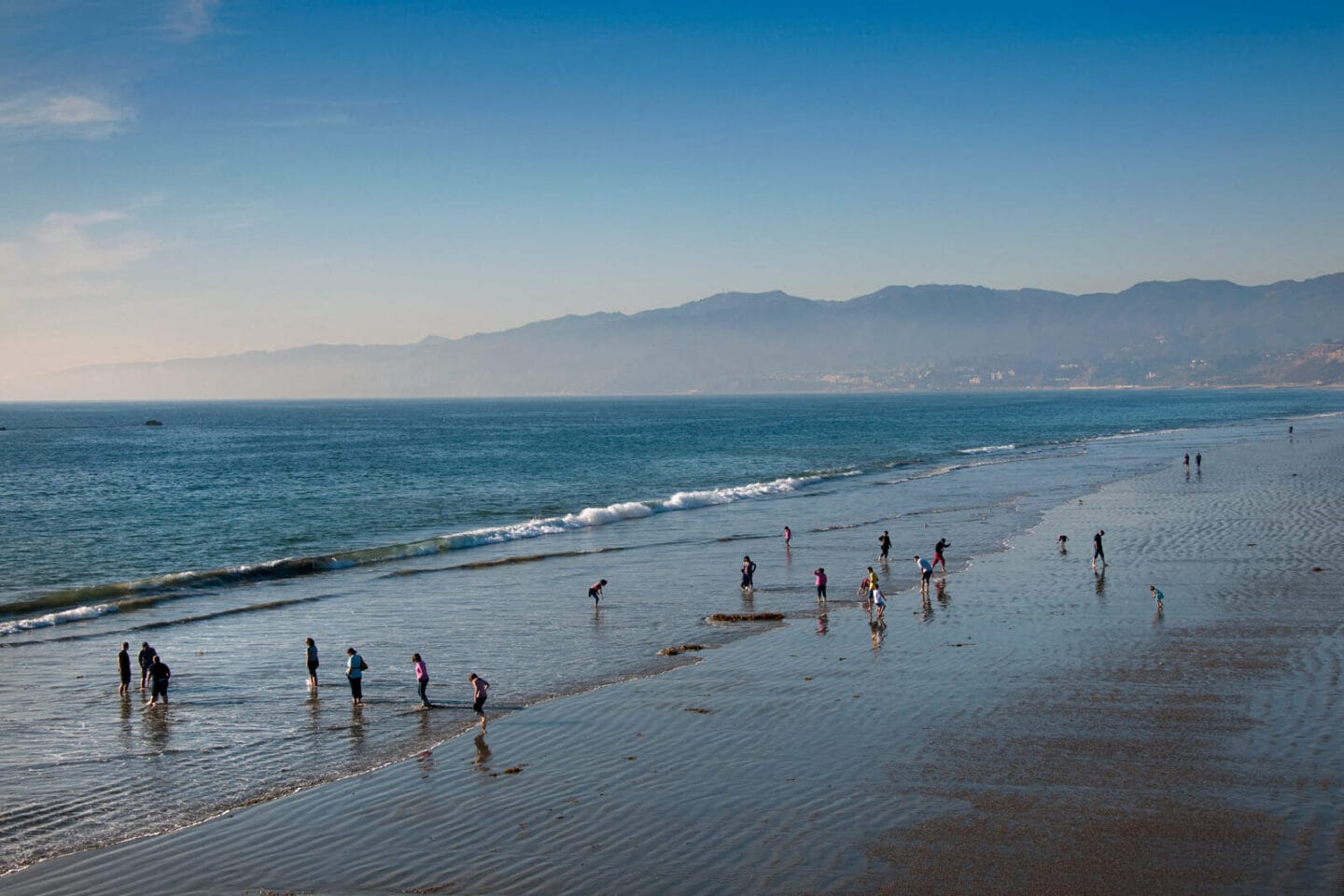 Enjoy a Day at the Beach near Sea Castle, 90401, CA