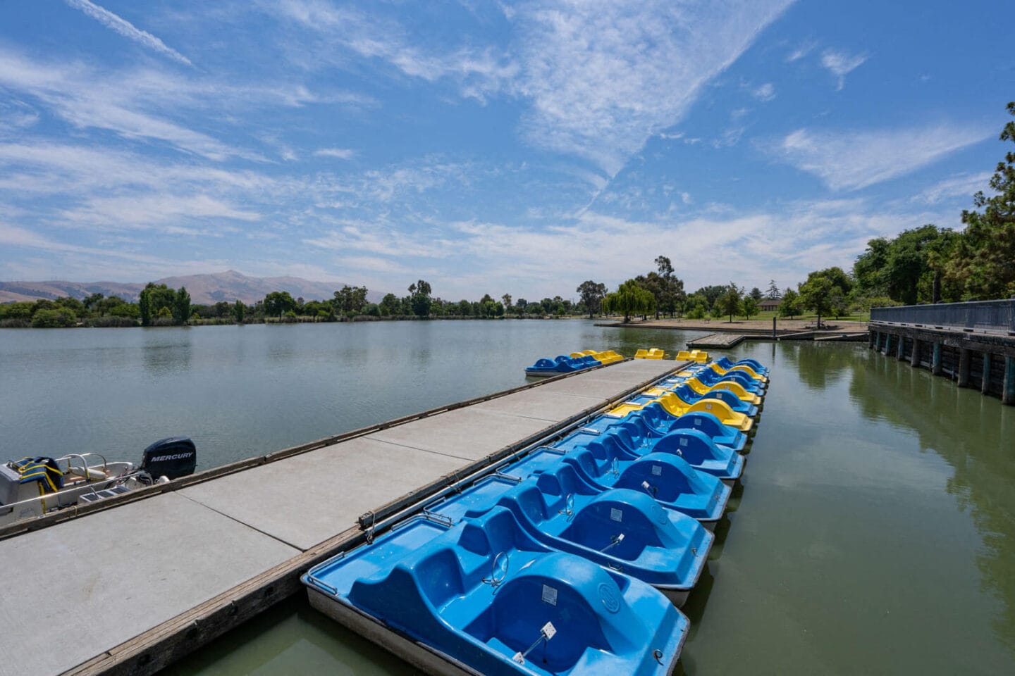 Stunning Mountain Views on Lake Elizabeth near The Estates at Park Place, 94538, CA