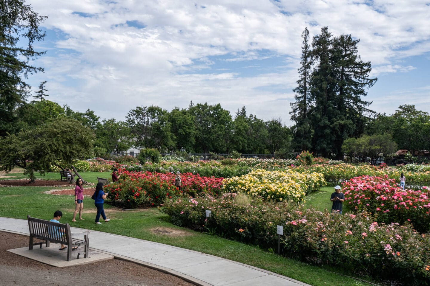 Riverside Park & Heritage Rose Garden Within Walking Distance at Pavona Apartments, 760 N. 7th Street, CA