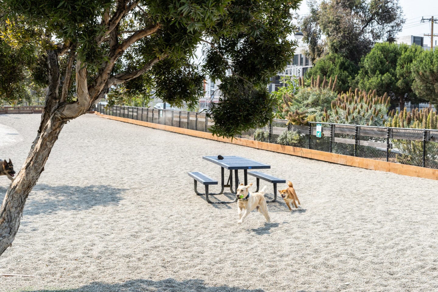 Pet-Friendly Apartment Community at Mission Bay by Windsor, 360 Berry Street, San Francisco