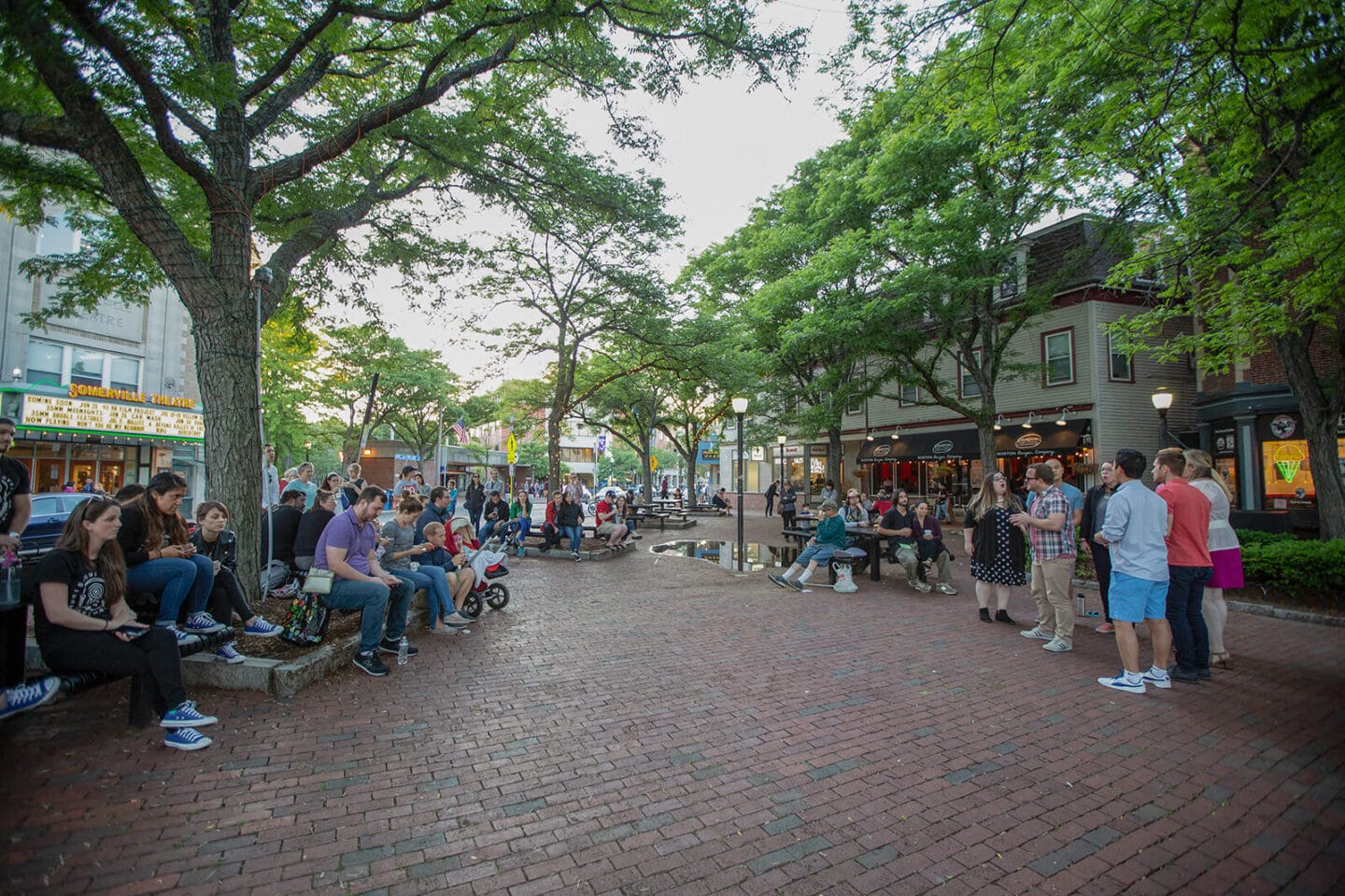 Lively Nightlife at Davis Square near Windsor at Maxwells Green, Somerville, 02144