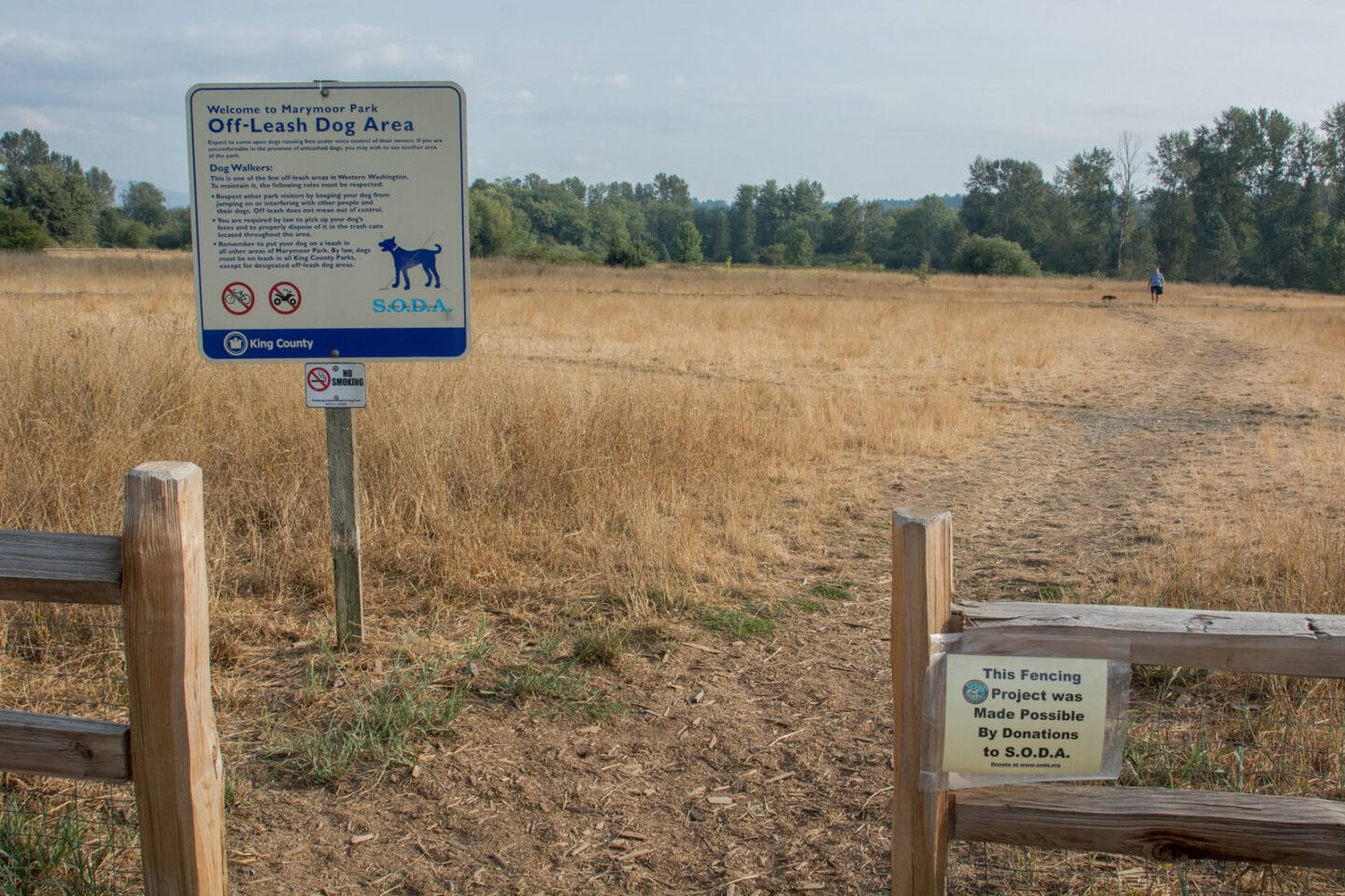 Off-Leash Dog Park at Reflections by Windsor, Redmond, WA