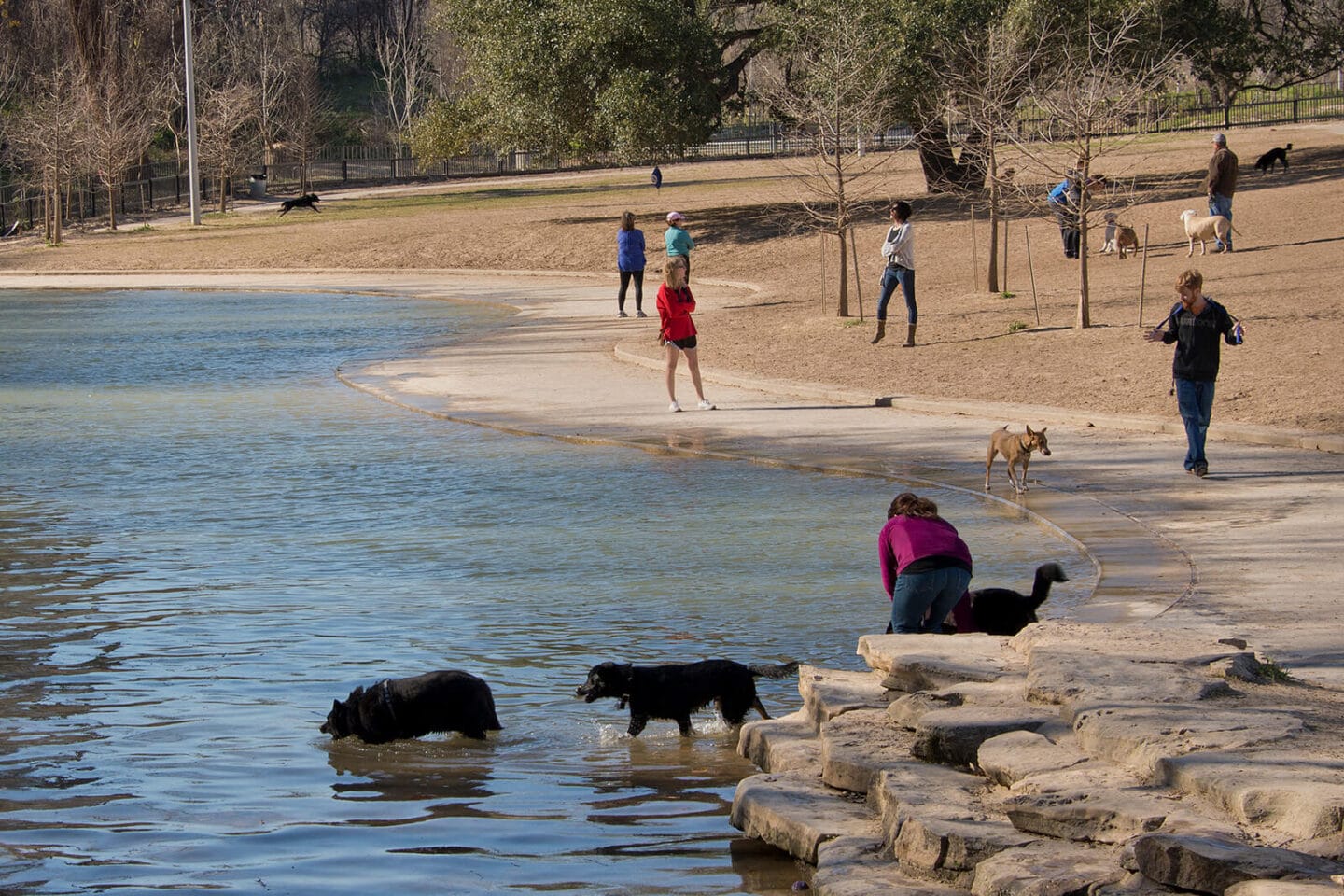 Johnny Steele Dog Park near Windsor Memorial, Houston, TX