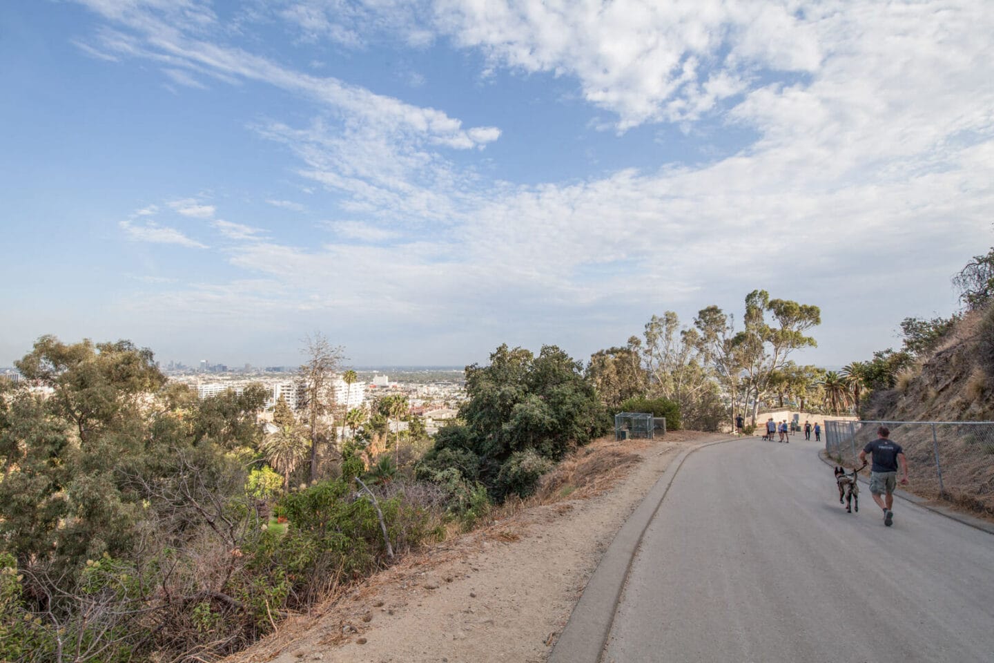 Breathtaking Views of LA near Windsor at Hancock Park, Los Angeles, CA