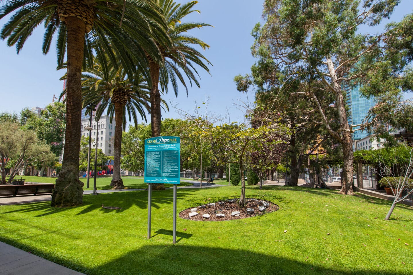 Grand Hope Park Next Door to Renaissance Tower, California, 90015