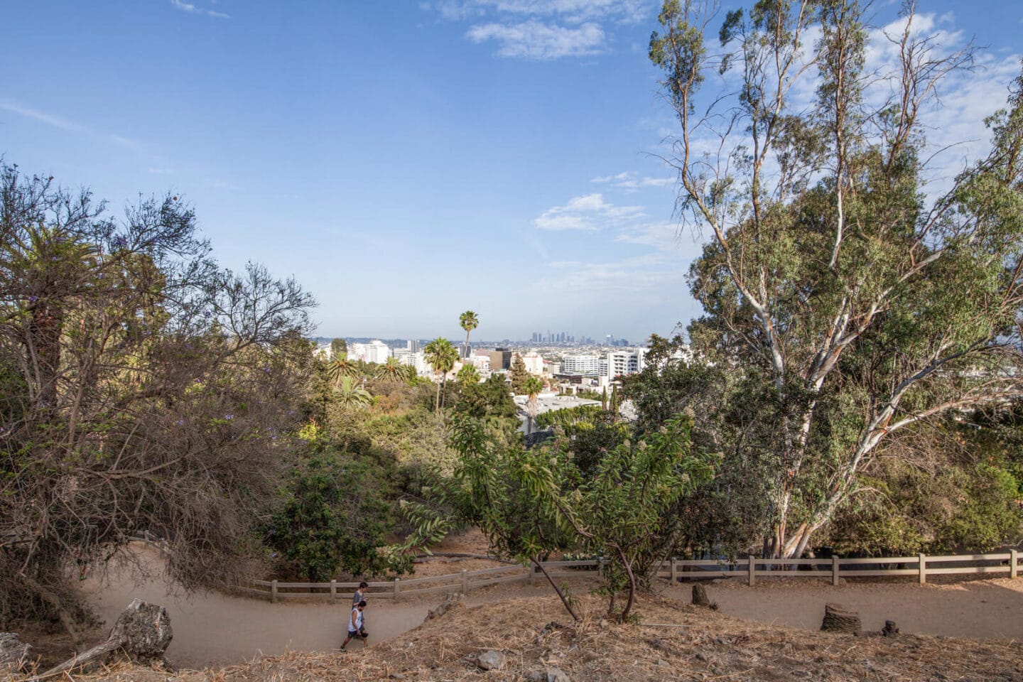 Walk, Run, Hike or Bike to Runyon Canyon at Windsor from Hancock Park, Los Angeles, California