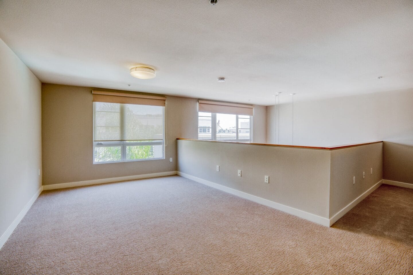 a bedroom with two windows and a carpeted floor