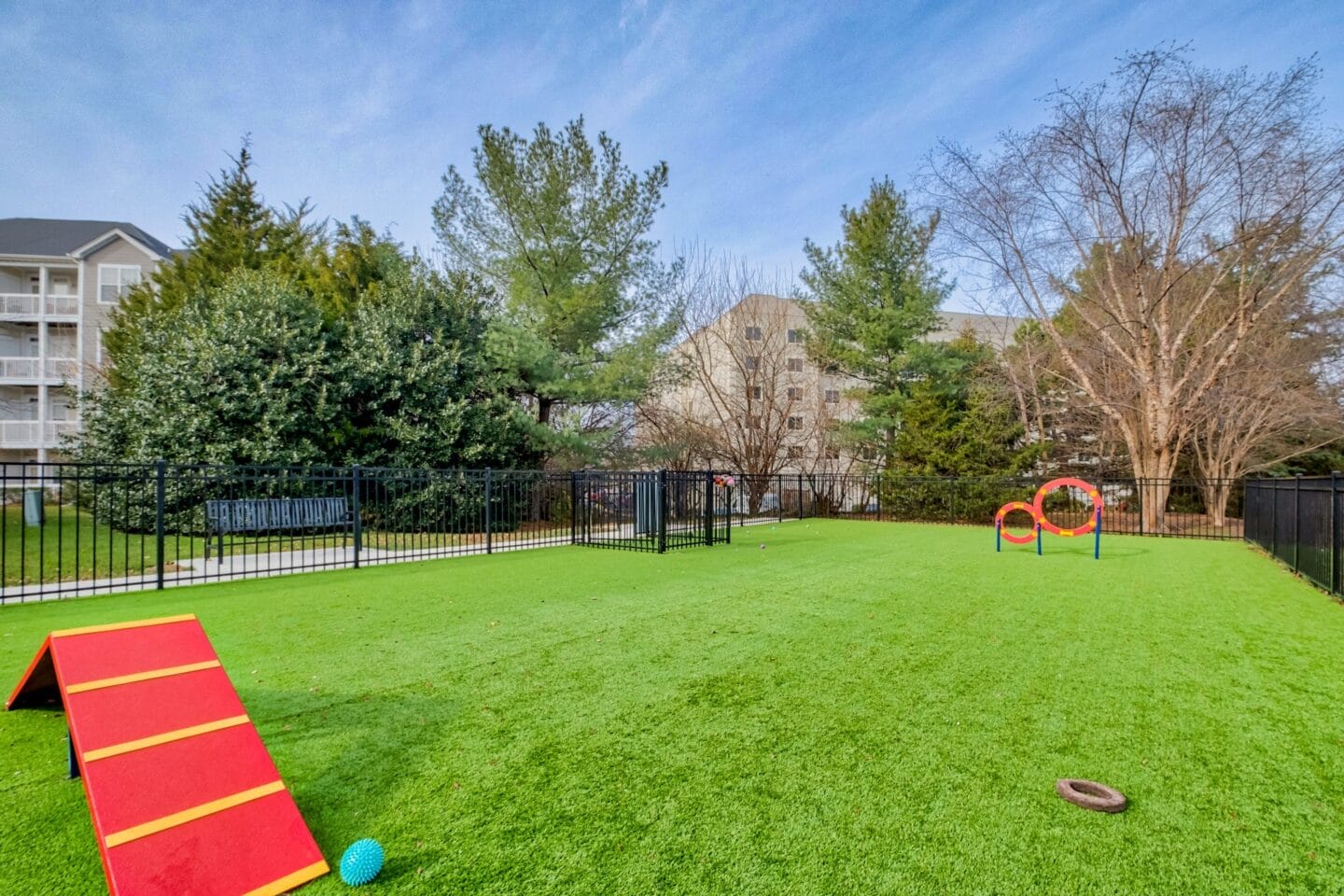 our apartments have a dog park with plenty of room to run and play