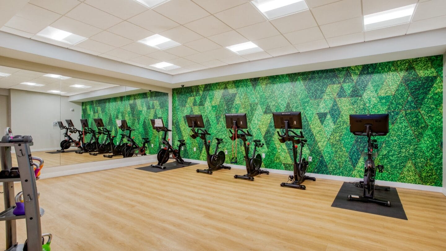 A large room with a green wall and a row of exercise bikes in front of it