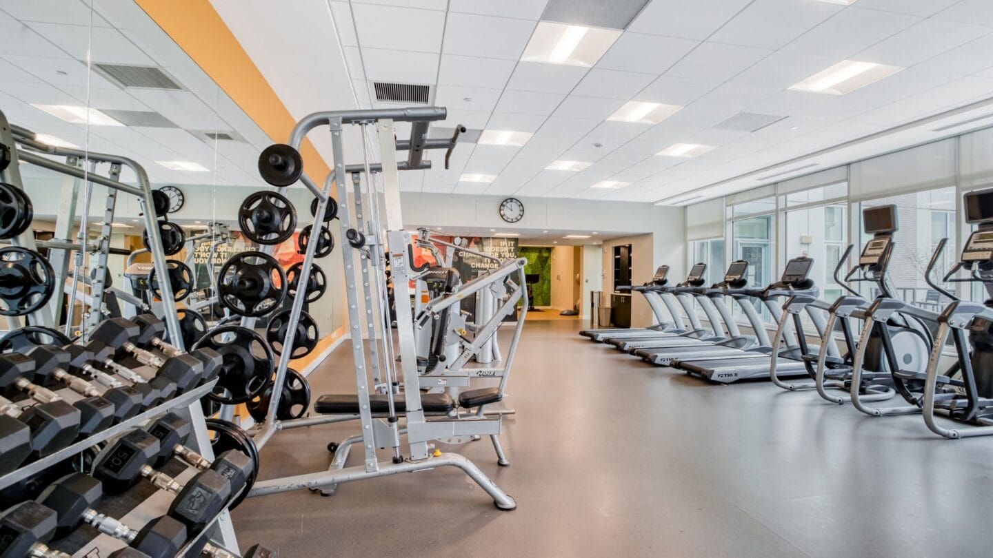 a room filled with lots of cardio equipment and weights