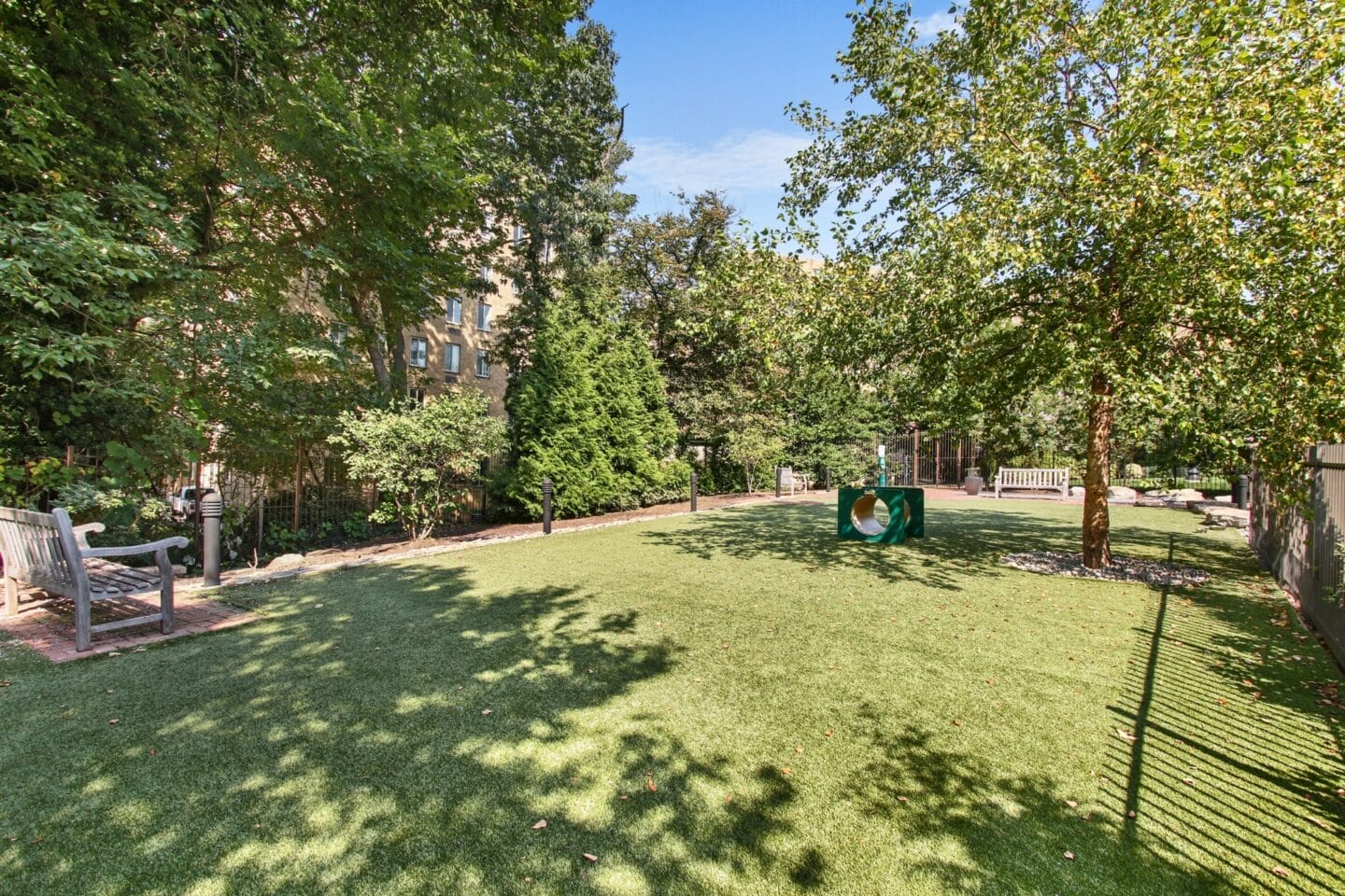 a large yard with trees and a park bench