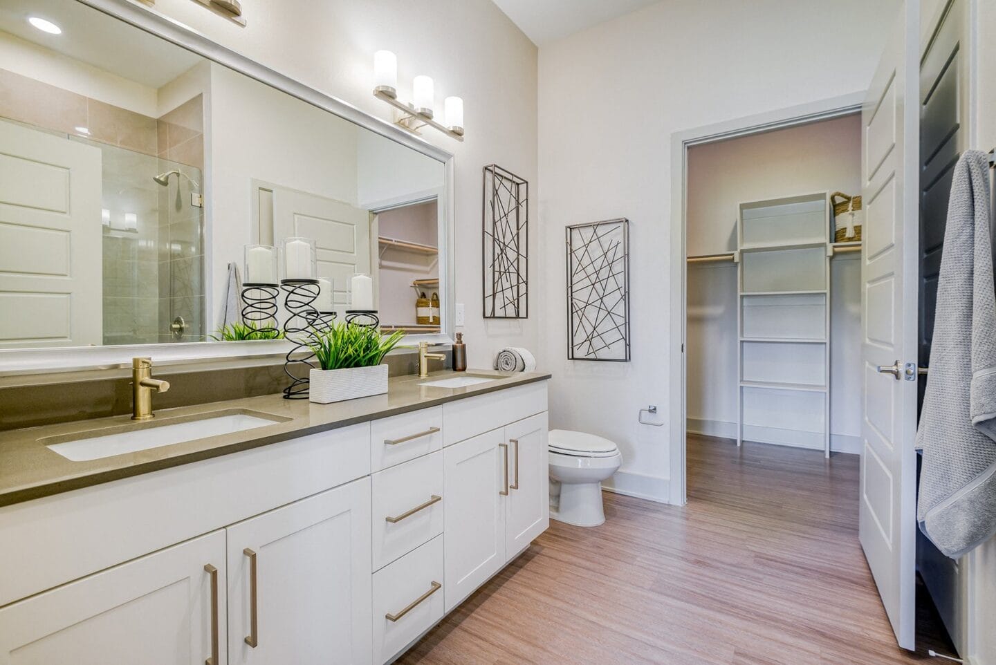 Bathroom with large walk in closet at Windsor Preston