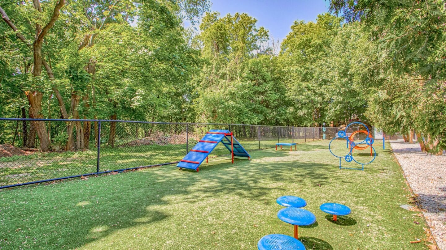 Off-Leash Dog Park at Windsor Ridge at Westborough, Westborough, 01581