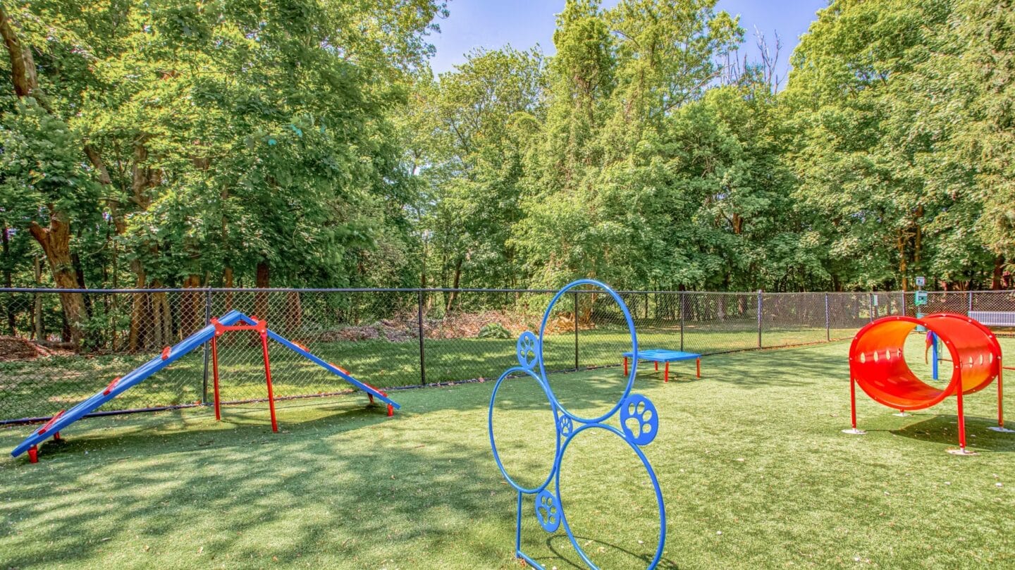 Off-Leash Dog Park at Windsor Ridge at Westborough, Westborough, 01581