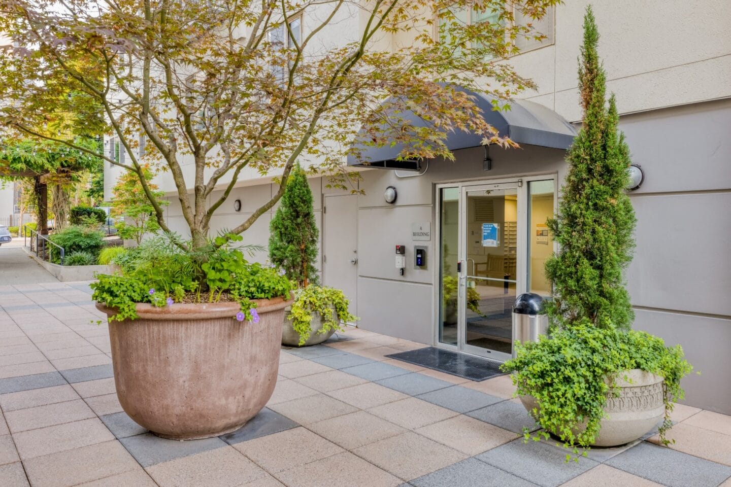 Courtyard views at Tera Apartments