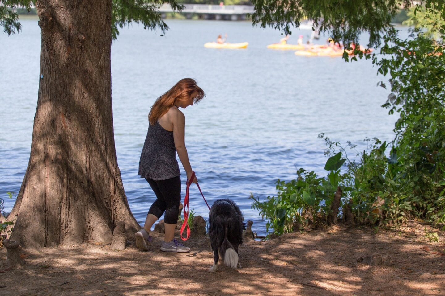 Our canine friends enjoy the lake and the dog-friendly venues on Rainey