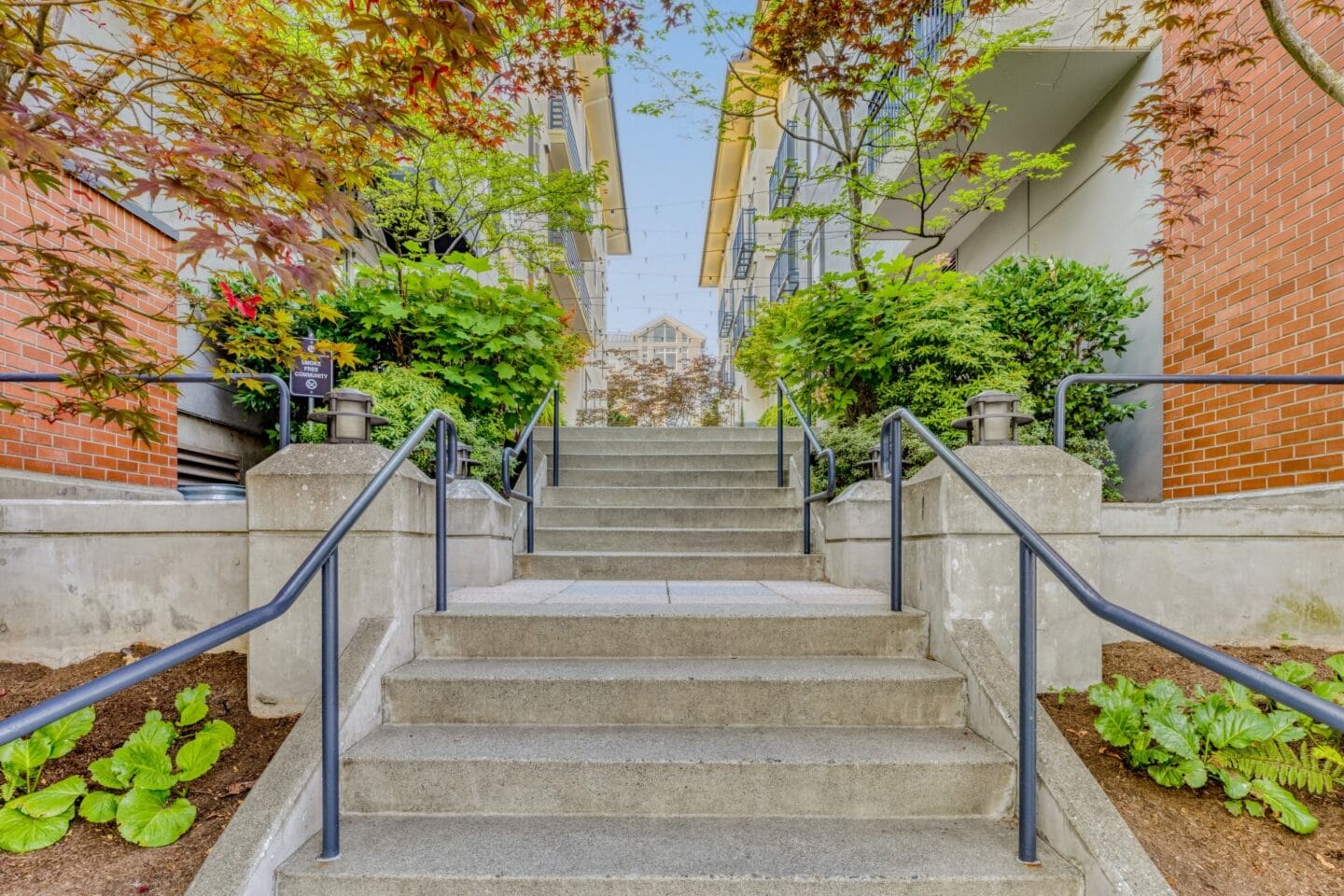 Courtyard views at Tera Apartments