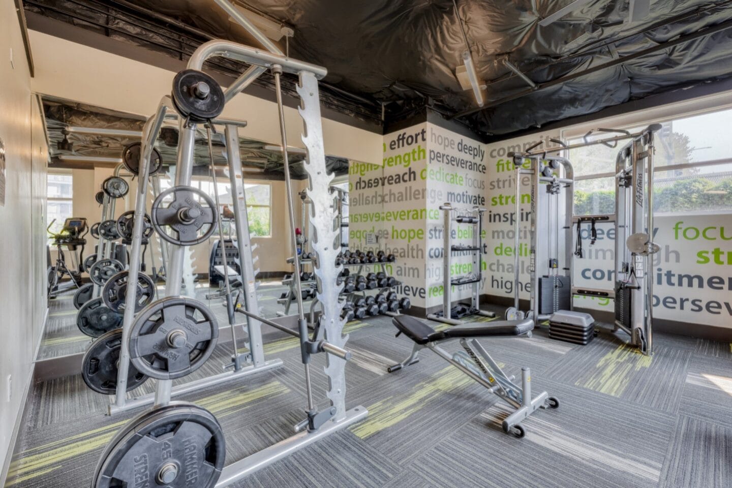 Free weights at Tera Apartments, 98033, WA