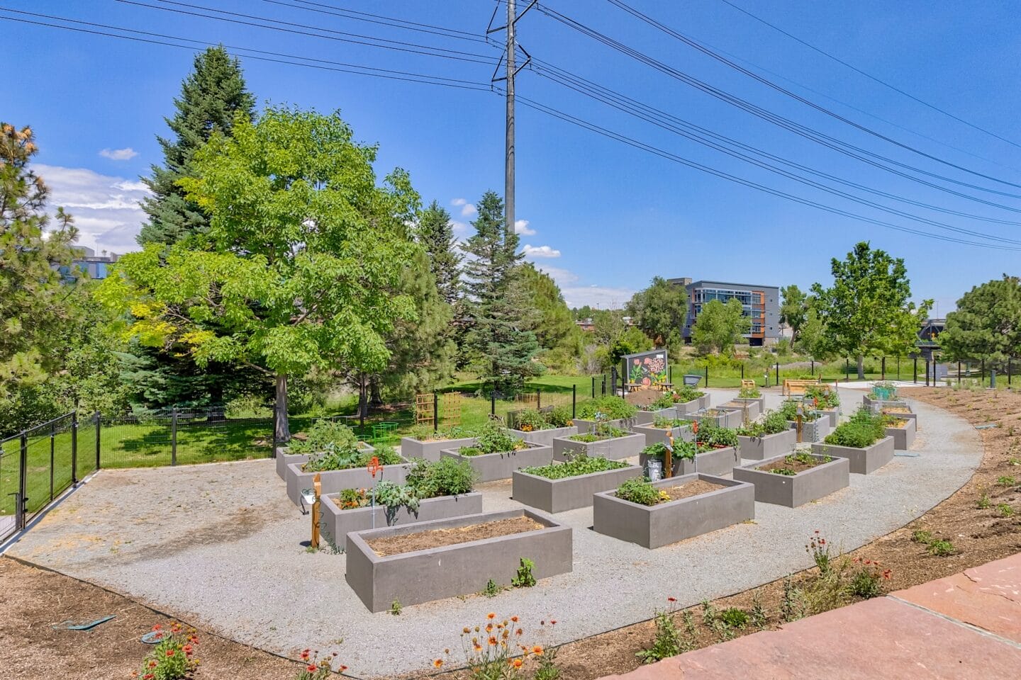 Community gardens at The Manhattan, 1801 Bassett Street, CO