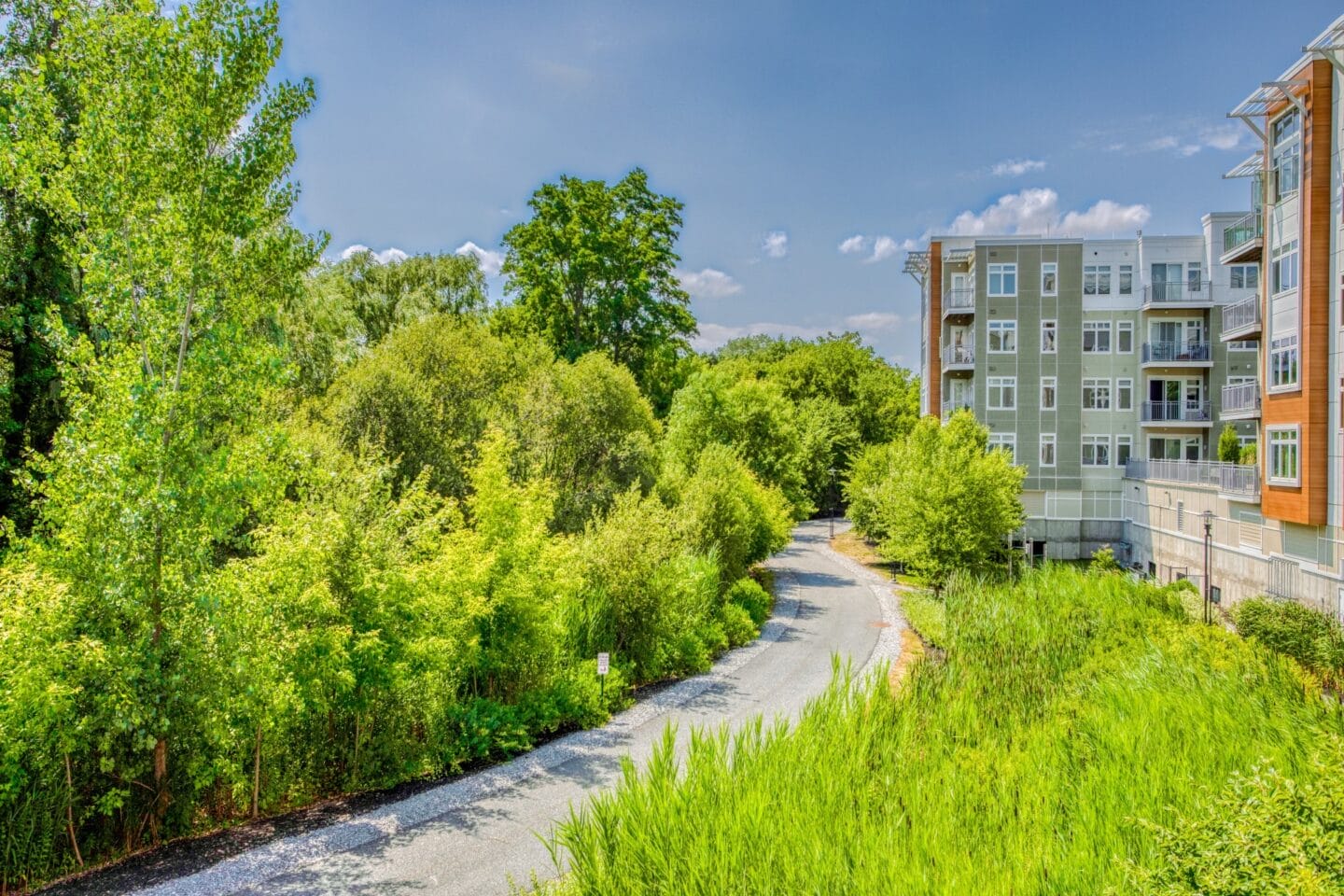 Beautiful, Natural Surroundings at Vox on Two, Cambridge, Massachusetts