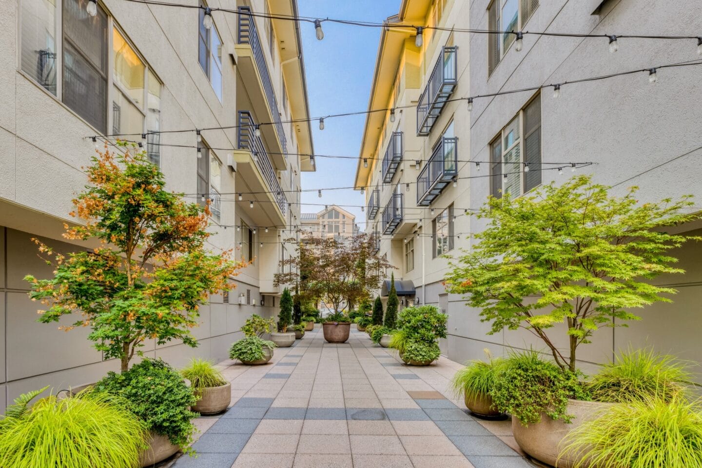 Courtyard views at Tera Apartments