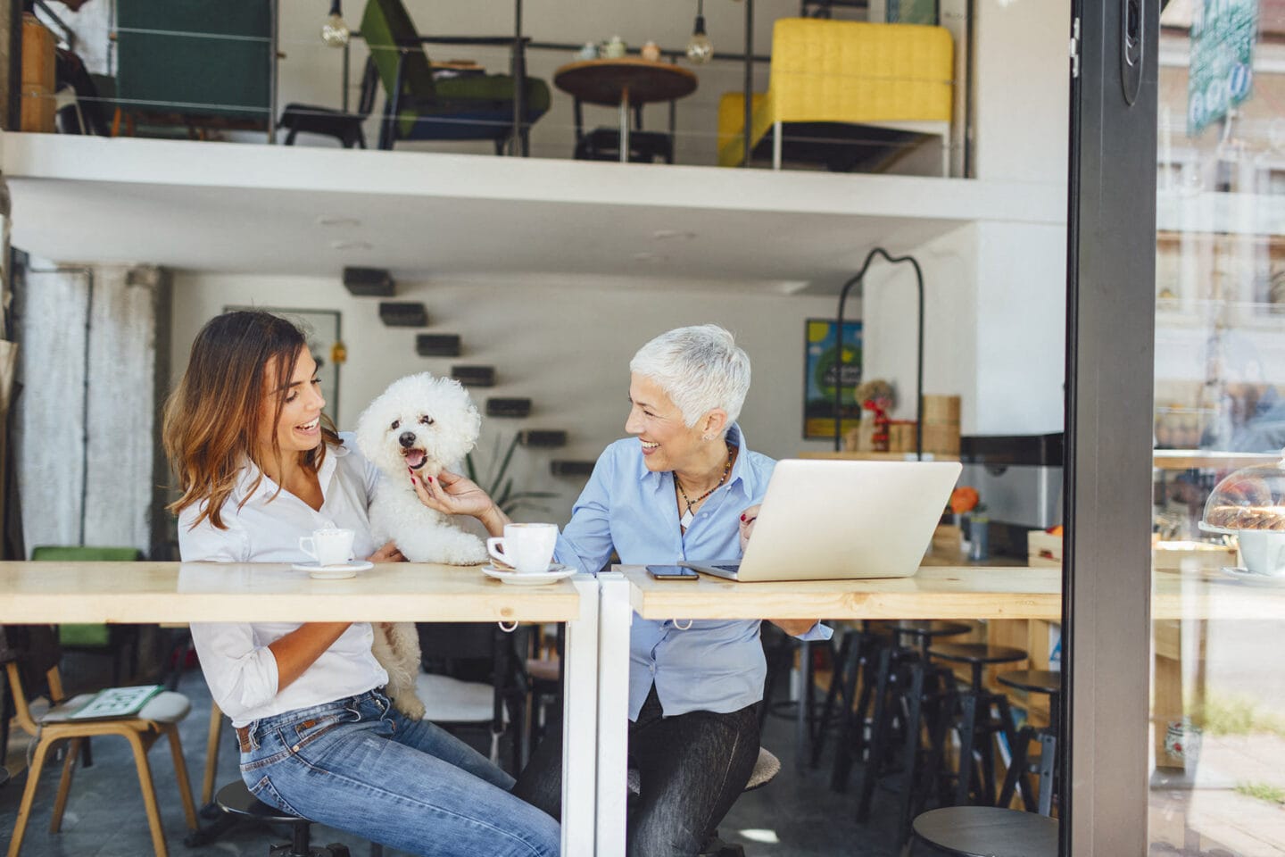 Cafe dog friendly near Windsor Metro West