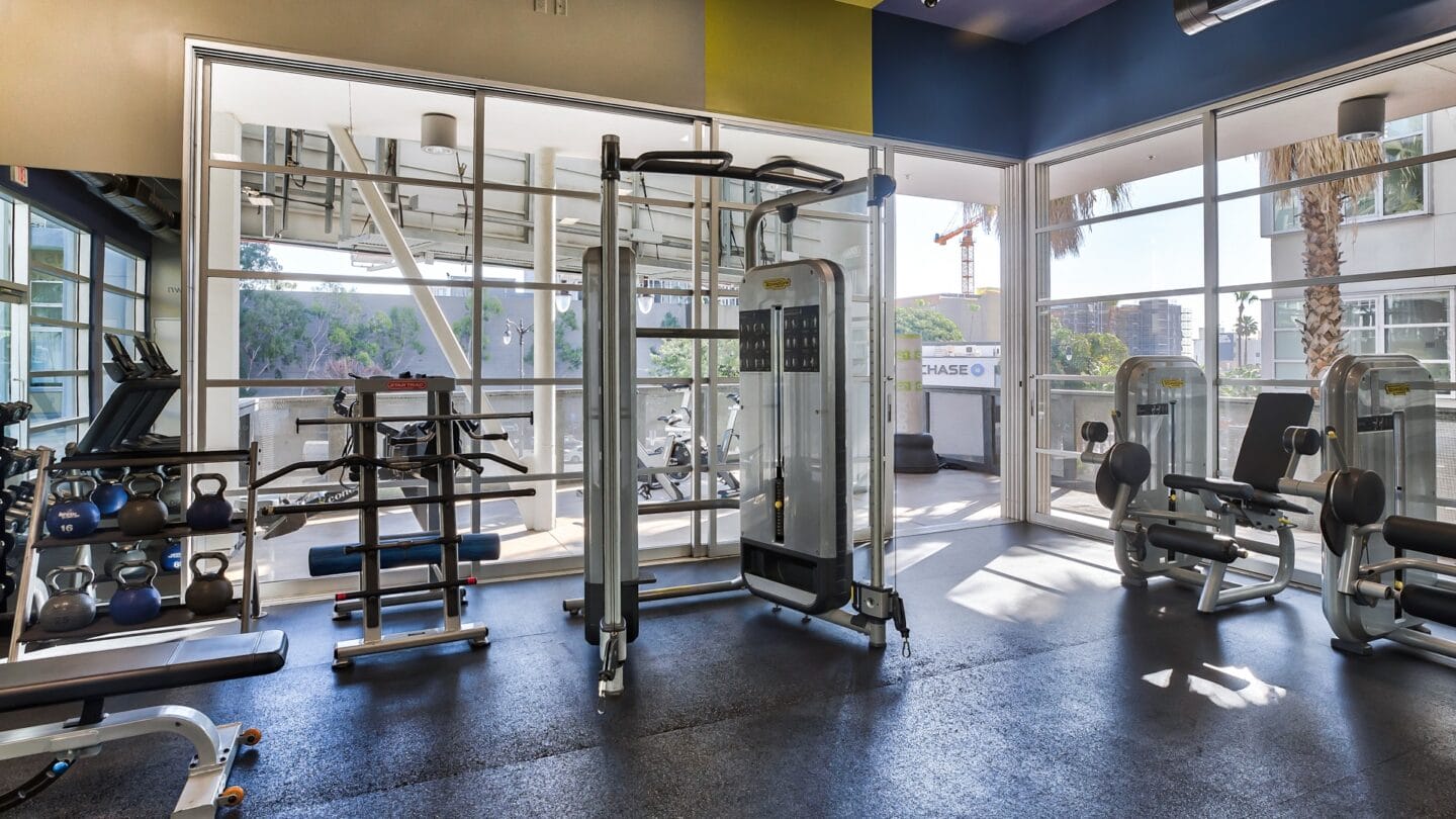 Plenty of Natural Light in Gym at Sunset and Vine, 1555 Vine Street, CA