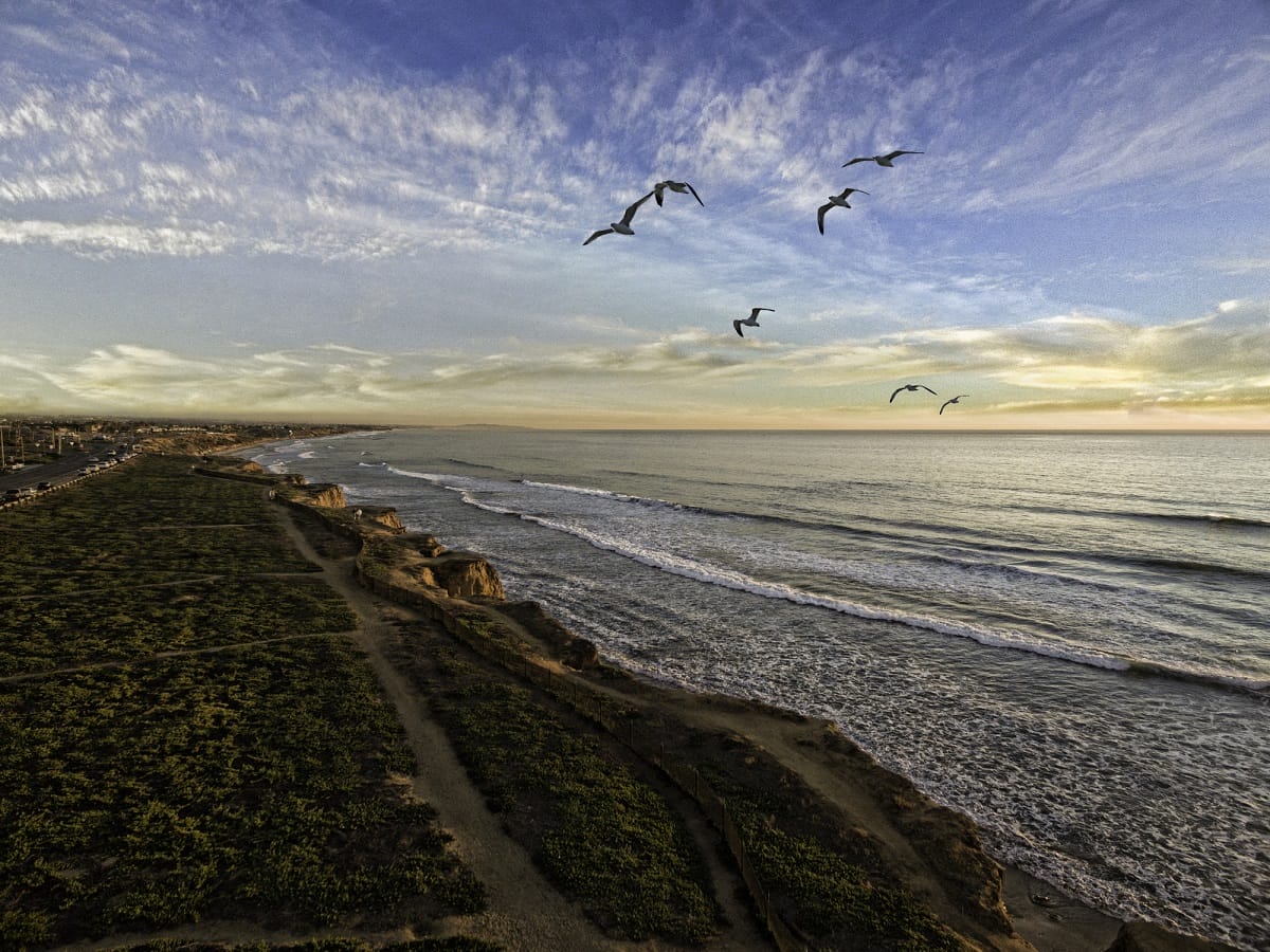 Neighborhood of Windsor at Aviara, CA, 92011