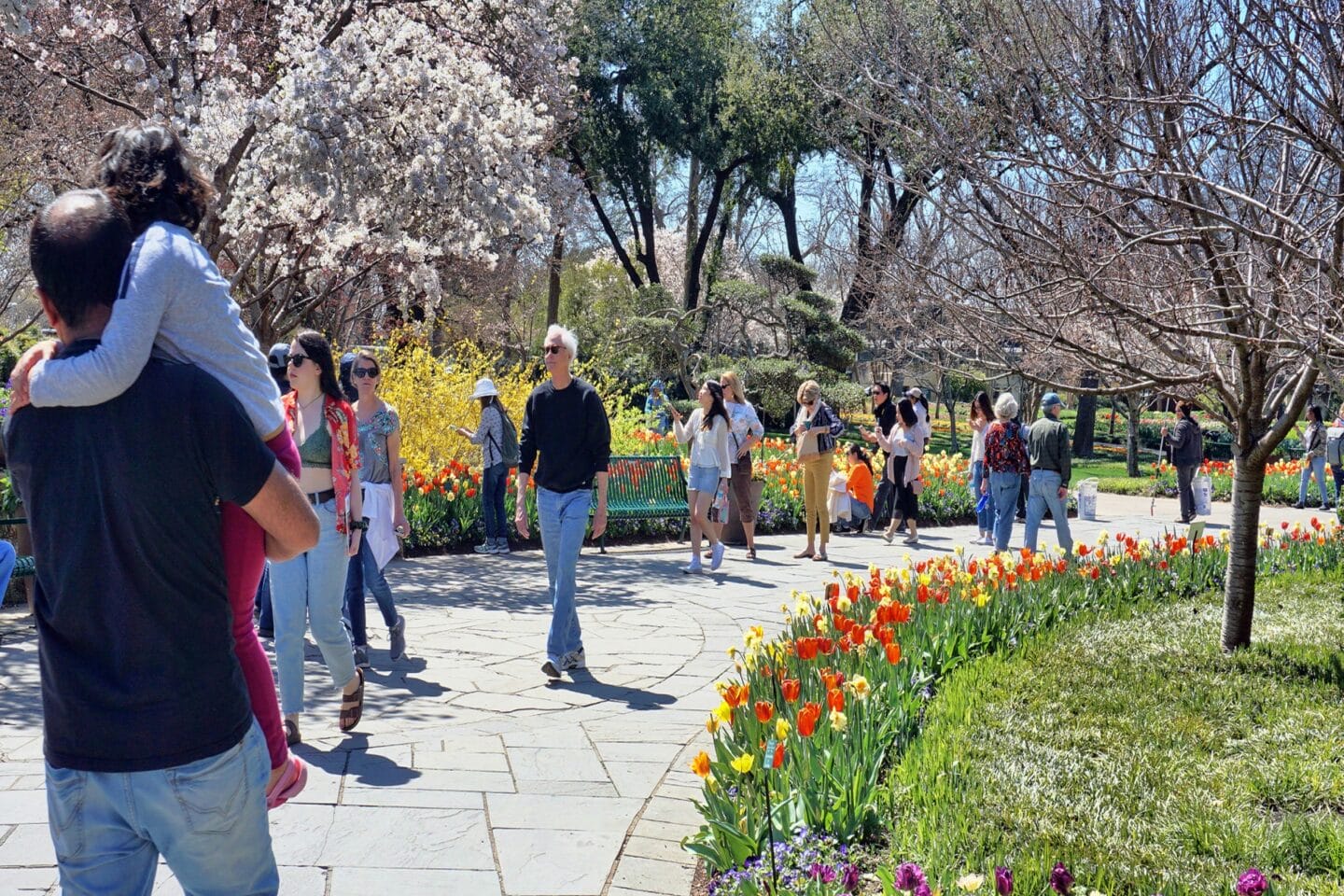 The Dallas Arboretum and Botanical Garden at Windsor on White Rock Lake, Texas