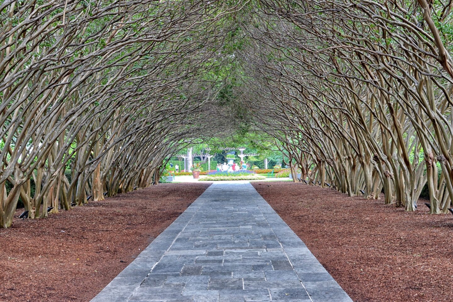 Walking distance to White Rock Lake Museum, Bath House Cultural Center, and Dallas Arboretum at Windsor on White Rock Lake, Texas, 75218