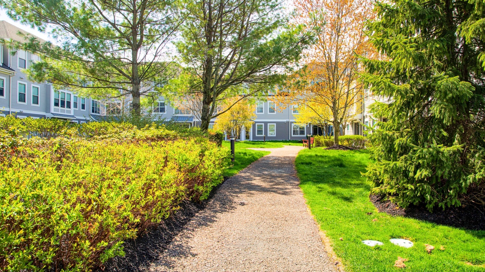 a path leads through a grassy area with trees and buildings in the background