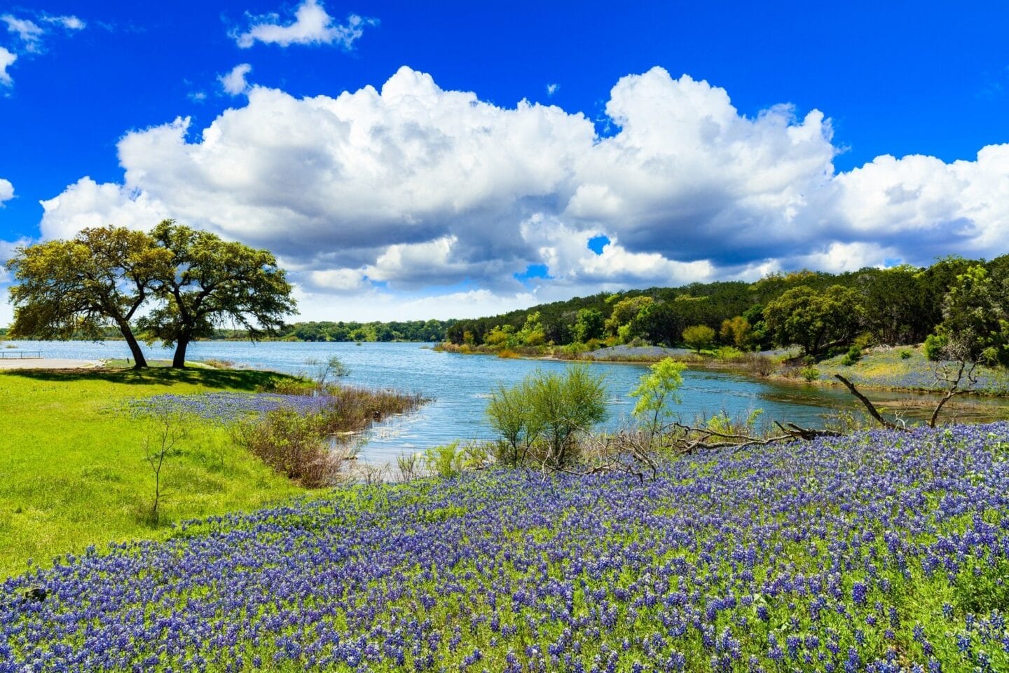 Serene Hill Country setting at Yaupon by Windsor, Austin