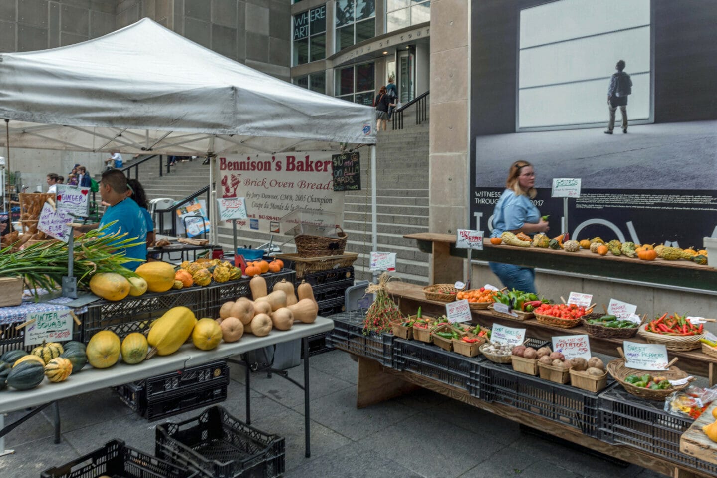 The SOAR Farmers Market is held every Tuesday, 7am-2pm at the Museum of Contemporary Art Plaza. June through October.