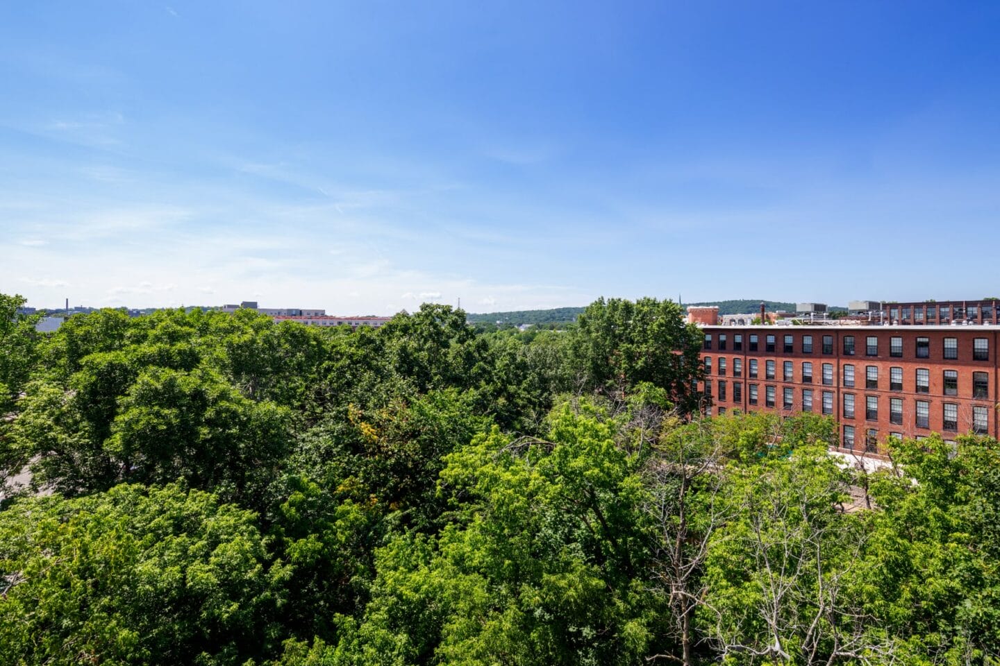 Green Spaces With Mature Trees at Edison on the Charles by Windsor, Waltham, Massachusetts