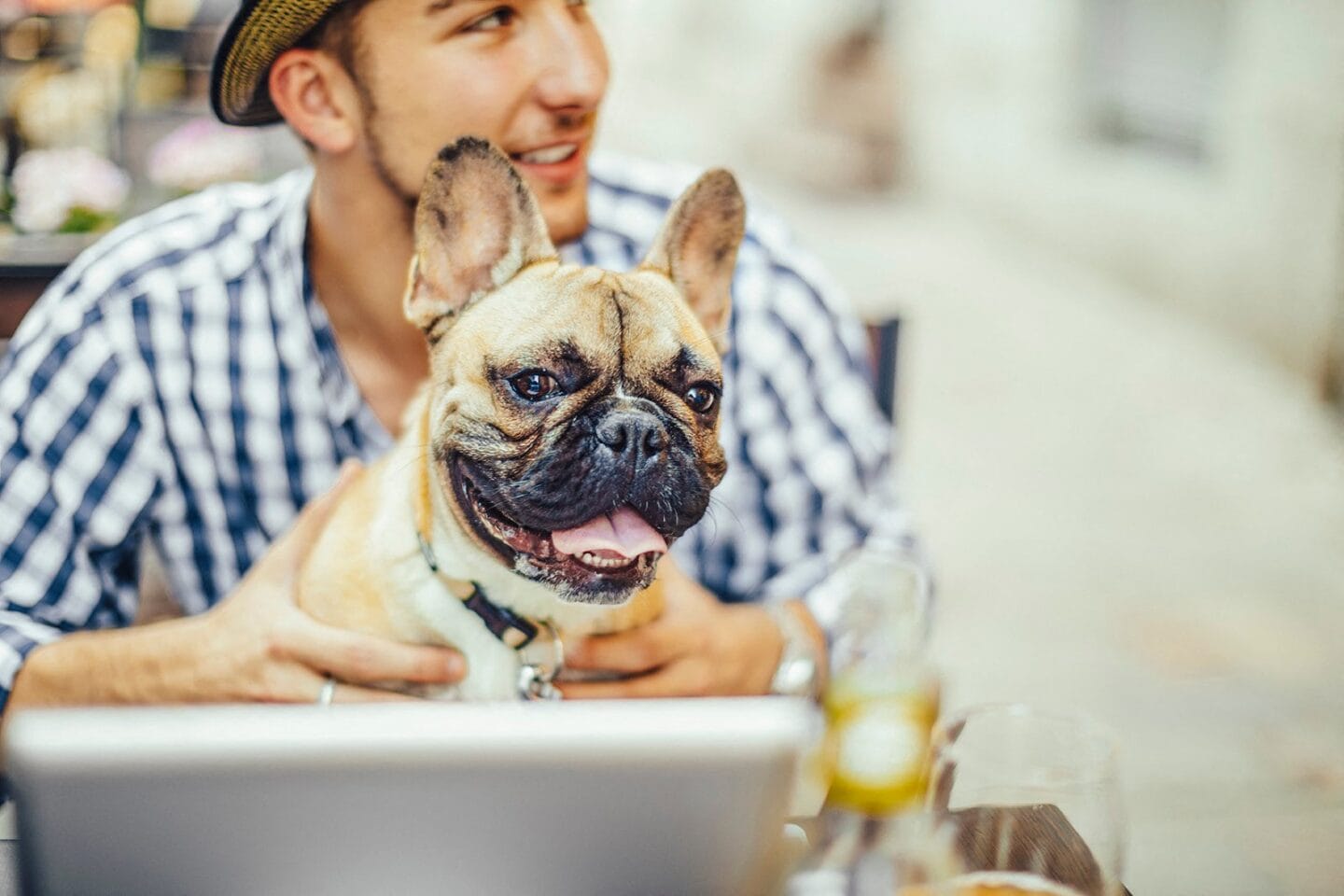 Guy with dog at Windsor Shepherd, Texas, 77007