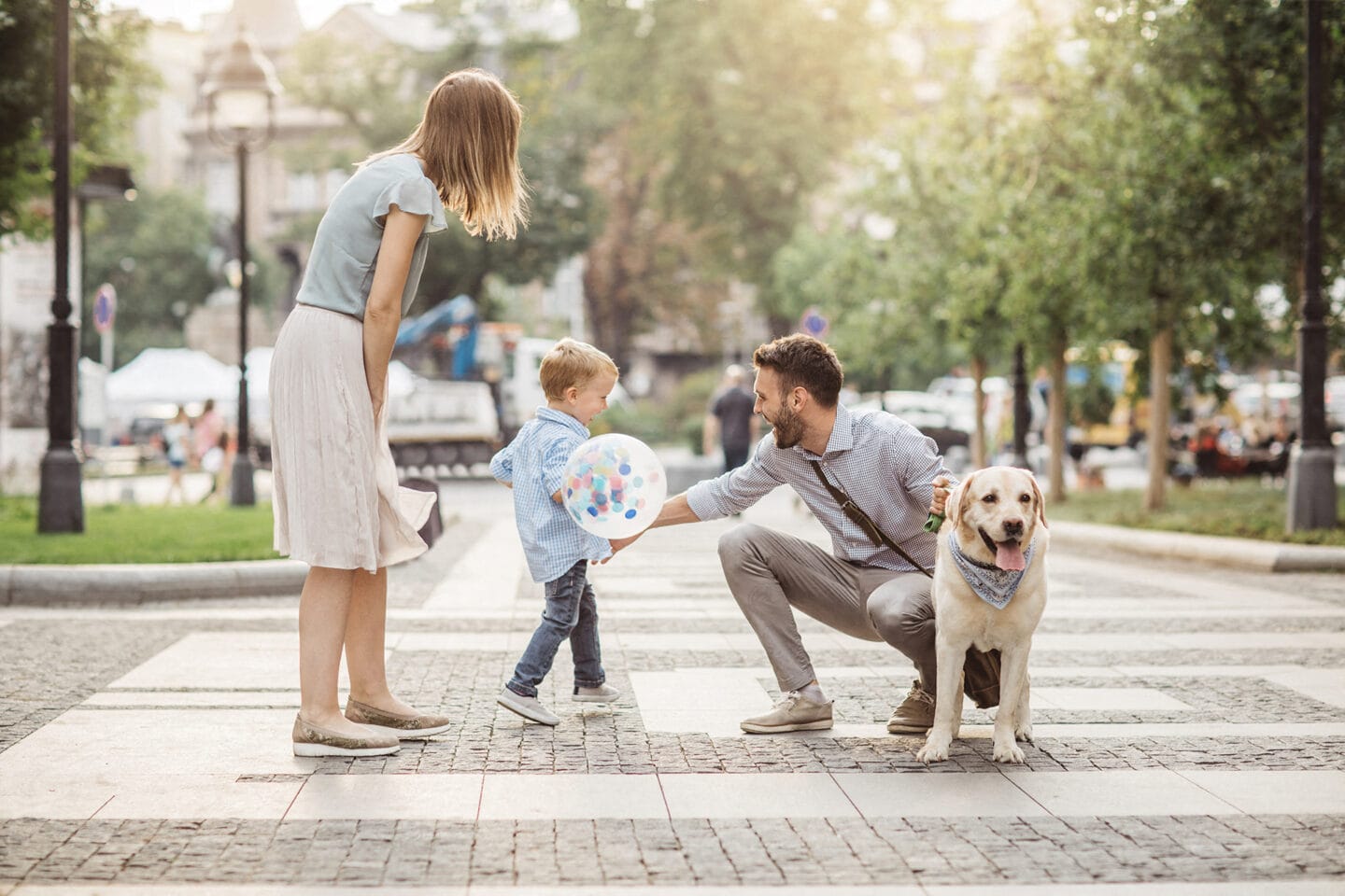 Pet-Friendly Apartment Community at Windsor Bethesda, 20814, MD