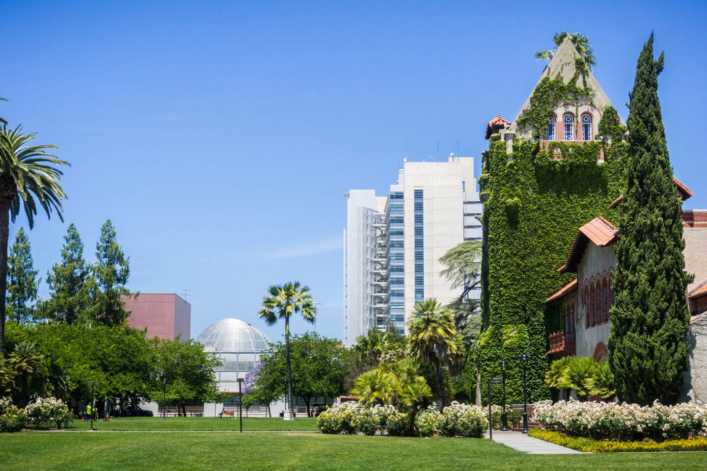 San Jose State University near Cannery Park by Windsor, San Jose, 95112