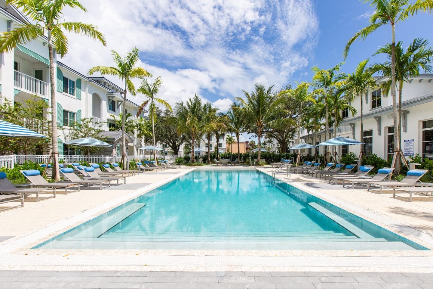 Palm trees around pool at Windsor 335, Plantation, Florida