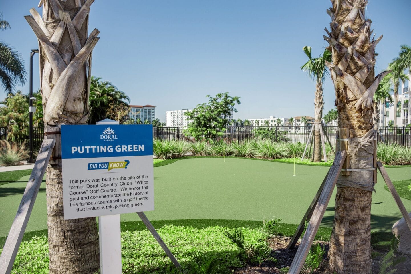 a putting green in a park with palm trees and buildings in the background