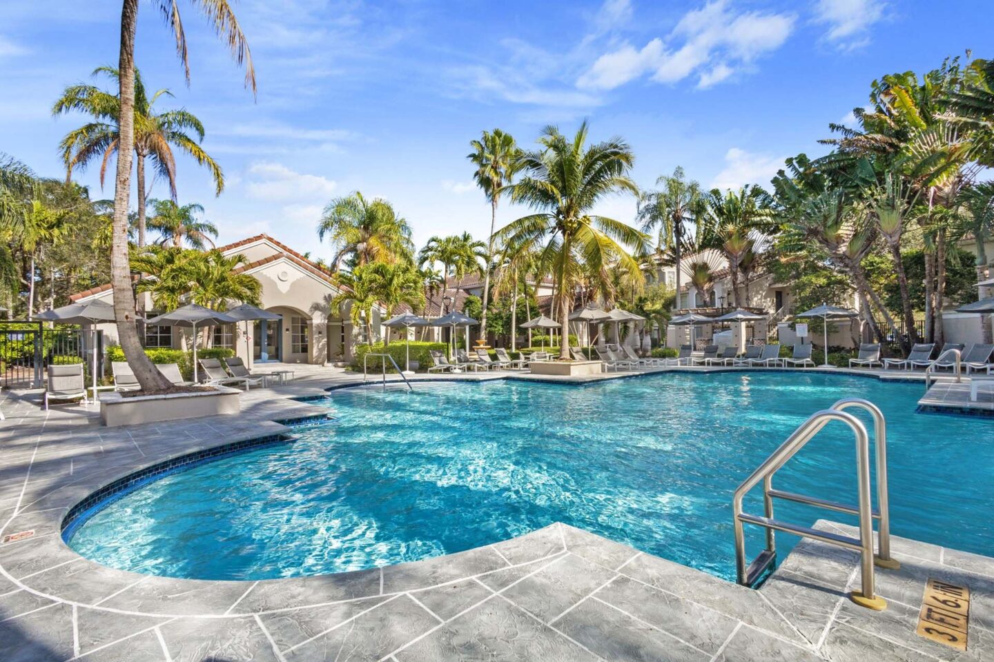 A swimming pool surrounded by palm trees and a clear blue sky.